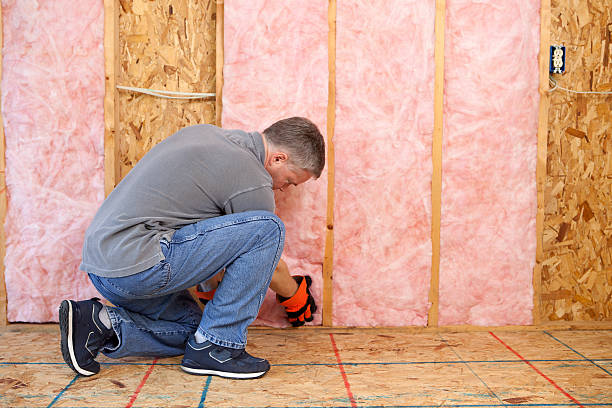 Best Spray Foam Insulation  in Minooka, IL